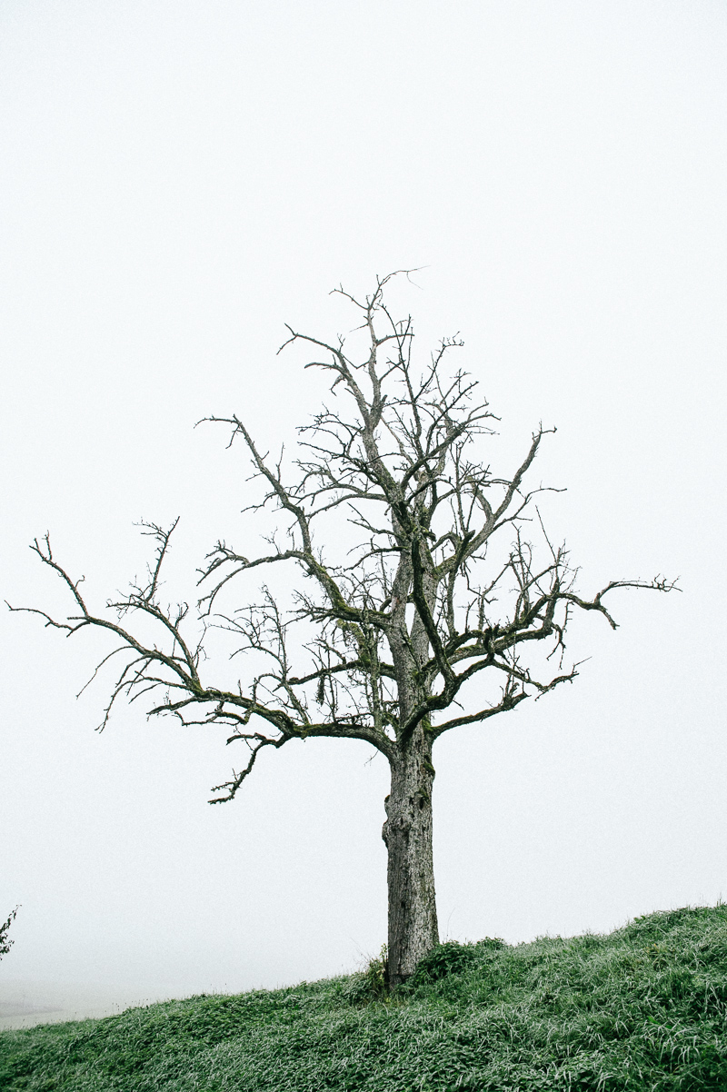 bildhuebsch photografie_03